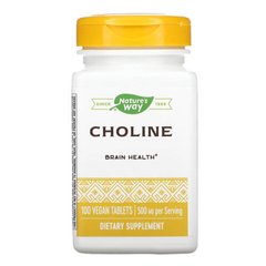Nature's Way Choline 500 mg 100 таблеток Холін (В-4)